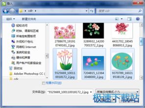 软件教程