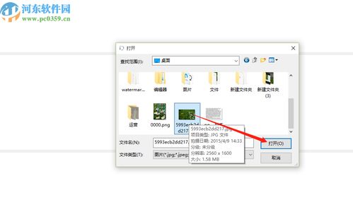 以图识图软件怎么识别图片 使用以图识图软件识别图片的操作方法 河东软件园