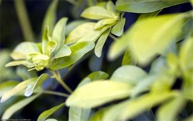 科教实业公司经营范围怎么写