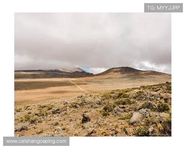 寻迹乞力马扎罗：不止雪，更有你我心底的诗与远方