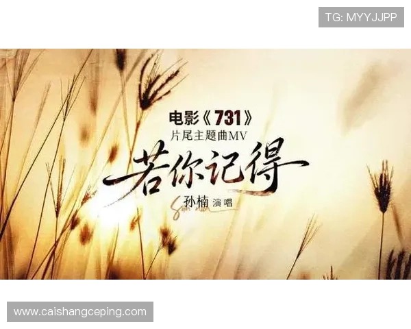 历史的伤痕，不应被遗忘的女性悲歌