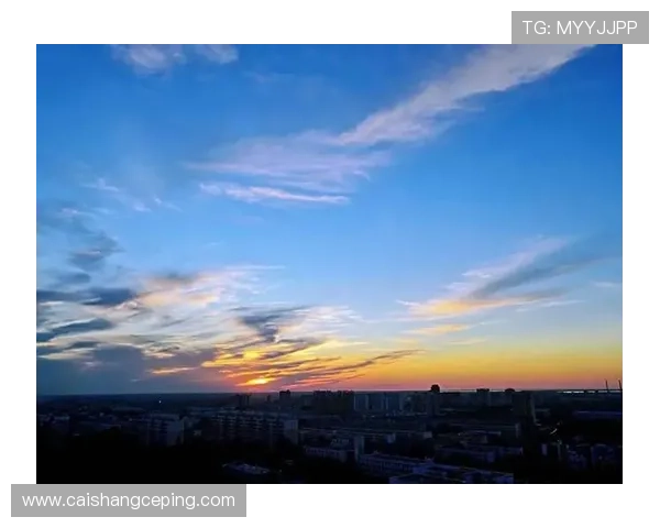 《某僵尸少女的灾难》:当永恒的午夜邂逅破晓的微光